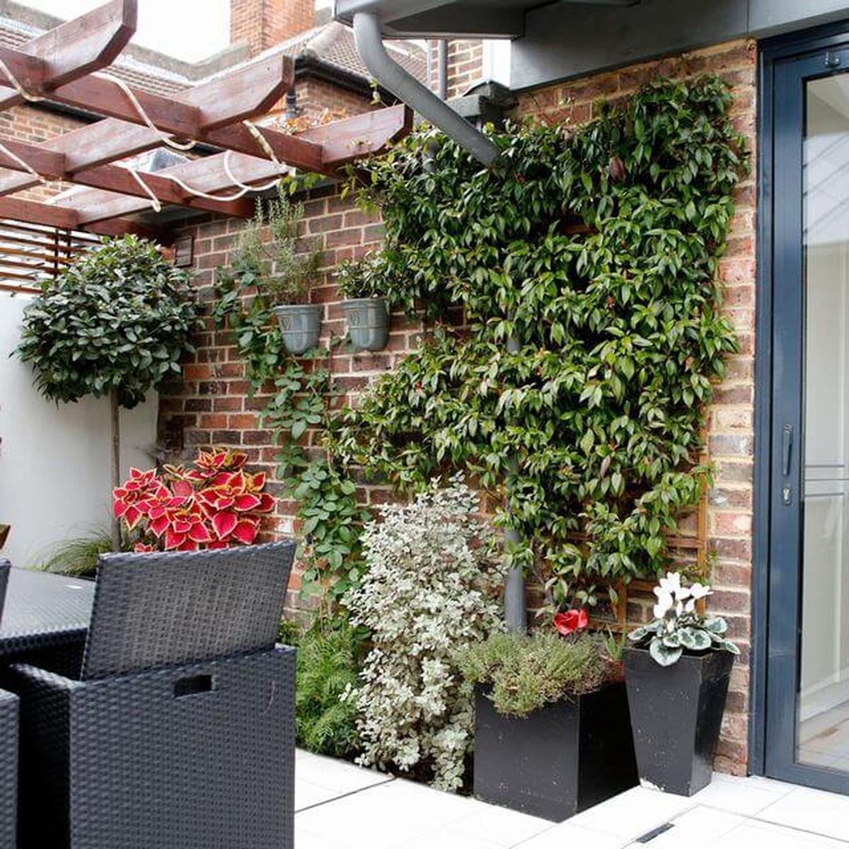 Vine Plants on Red Brick Wall
