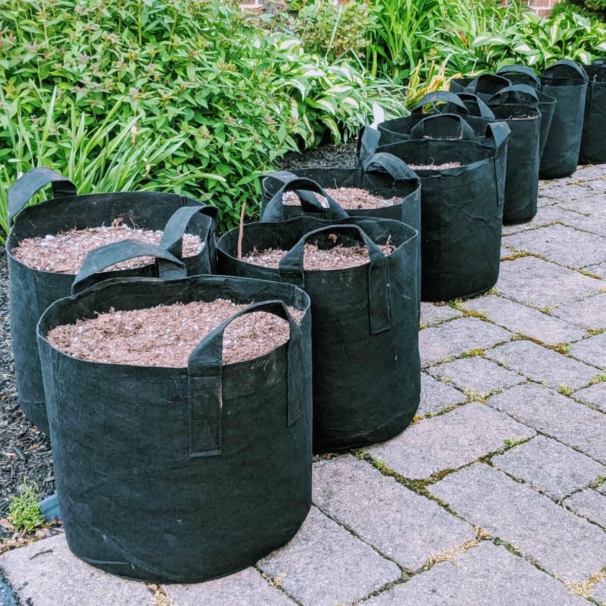 Grow In Fabric Bags
