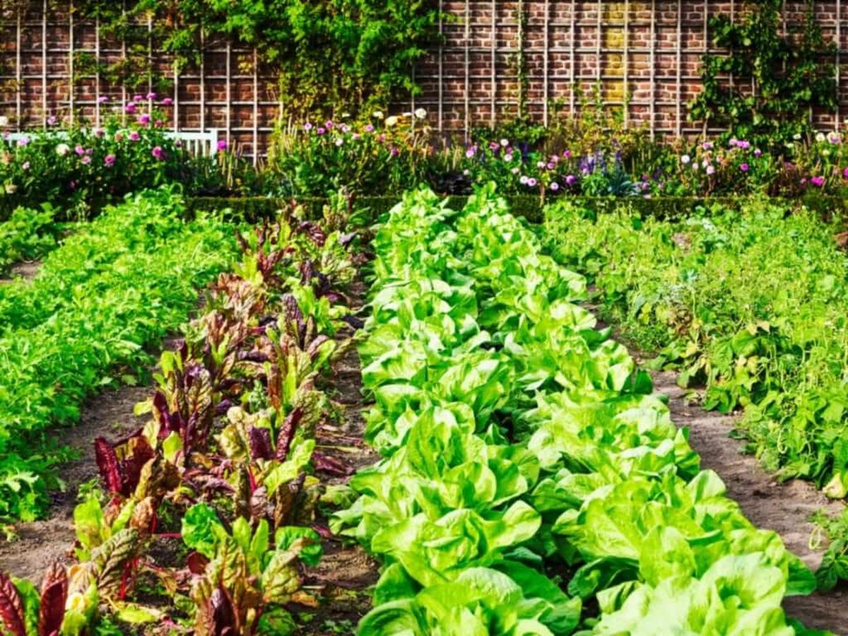 Line Them In Tidy Rows