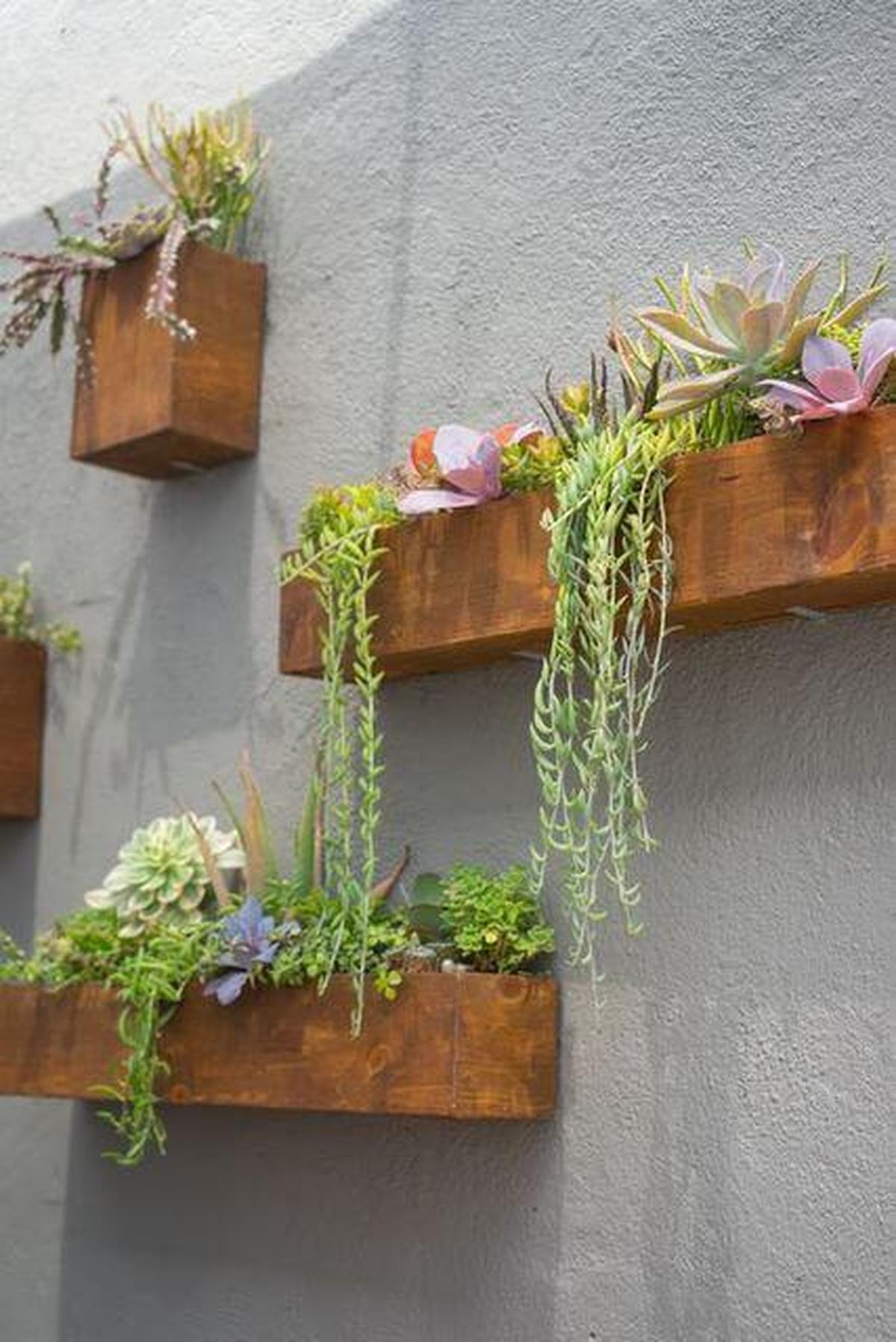 Wooden Succulent Planter Boxes