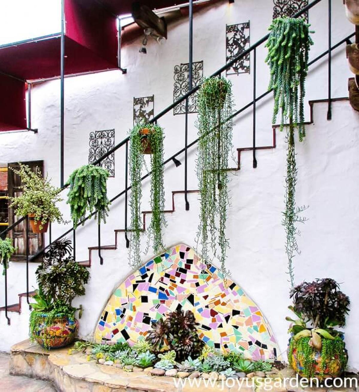 Hanging Succulents On Stairs