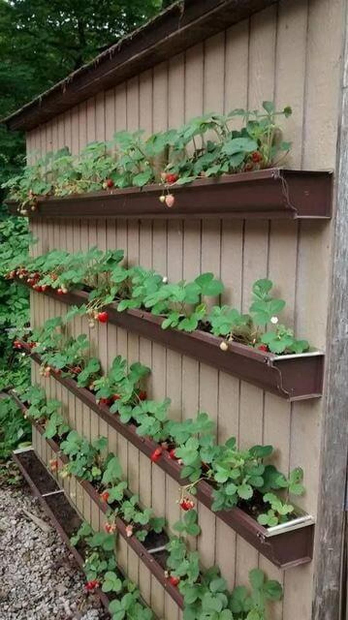 Gutter Vertical Garden