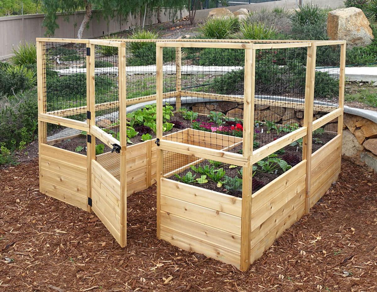Deer Proof Raised Bed