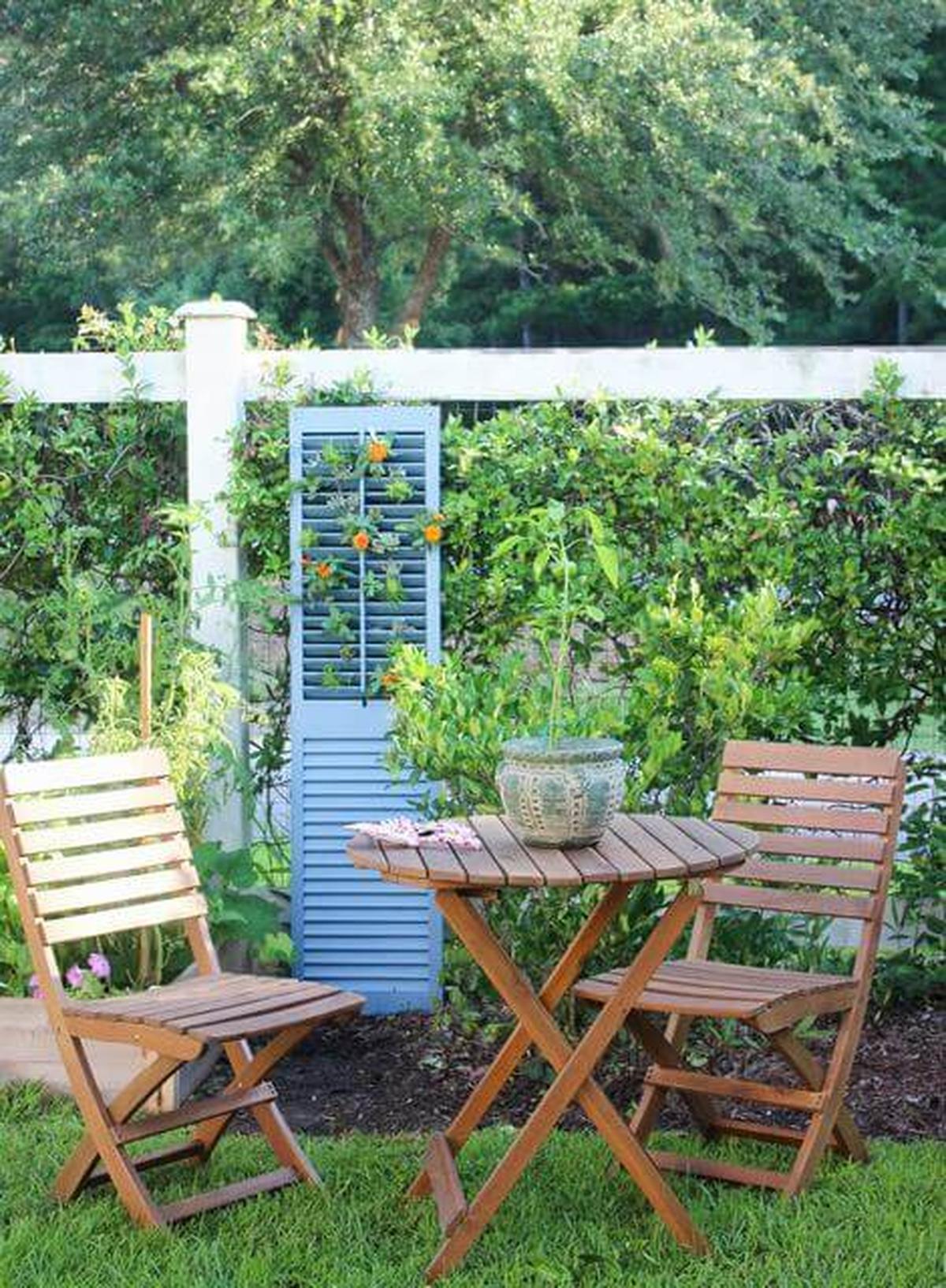 Vine Plants On A Wall With A Green Shutter
