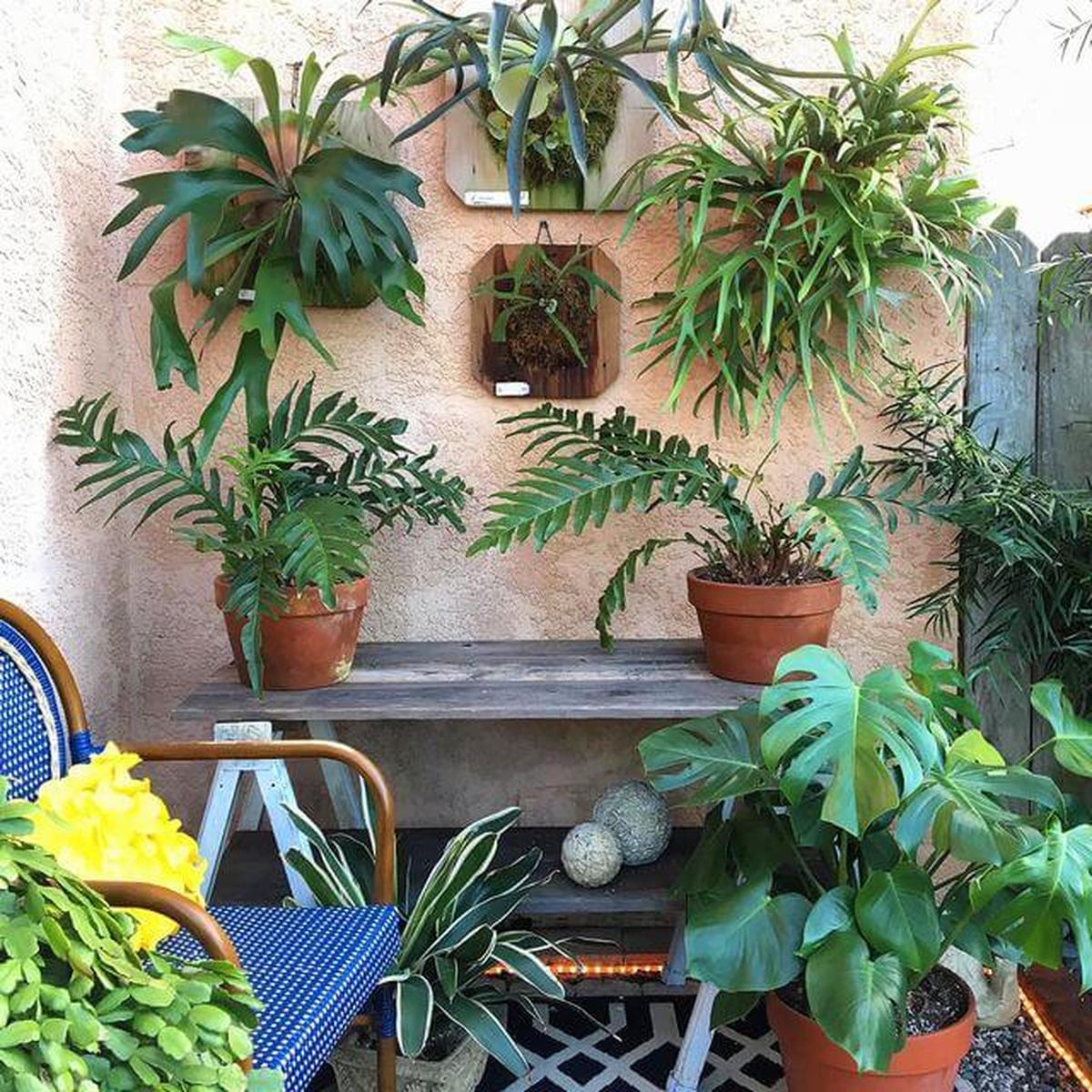 Patio Wall with Ferns
