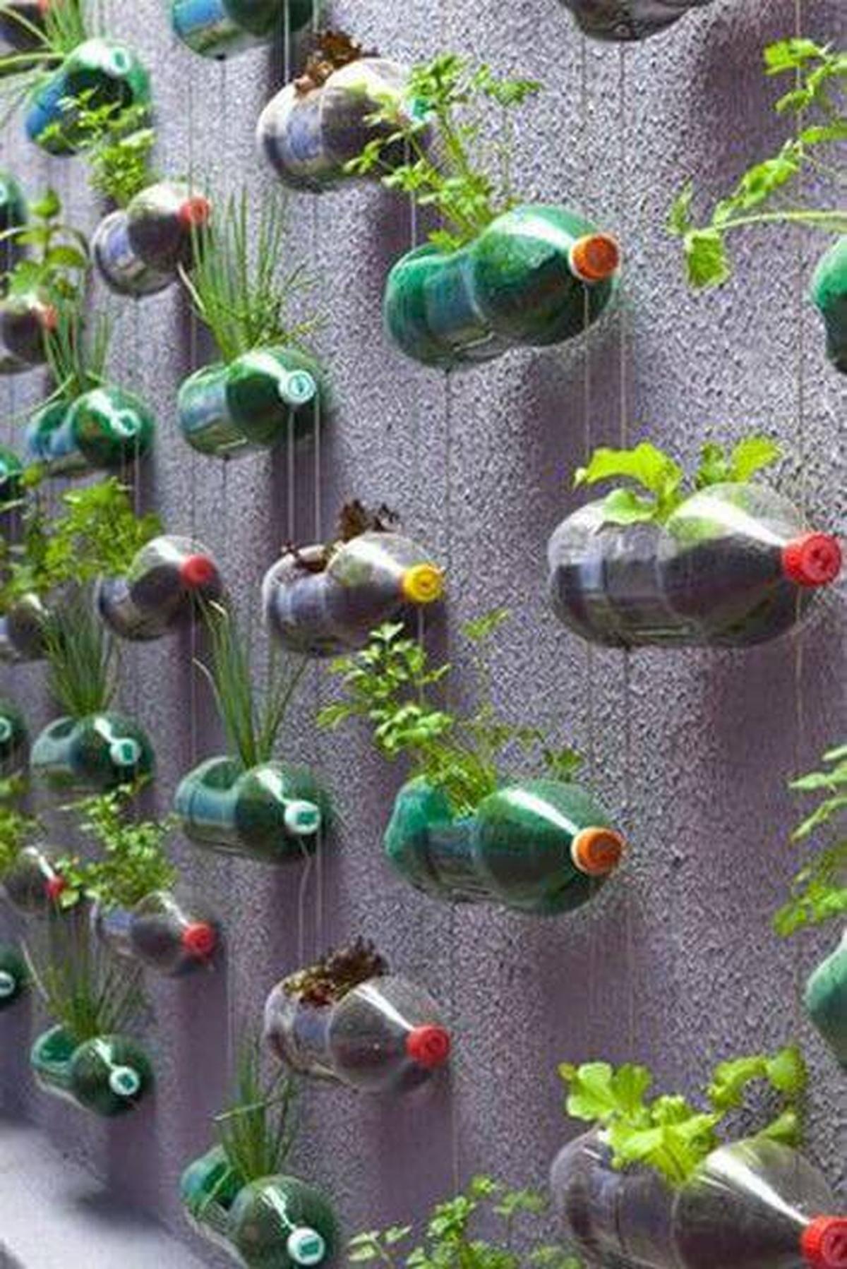 Hanging Plastic Bottle Vertical Garden