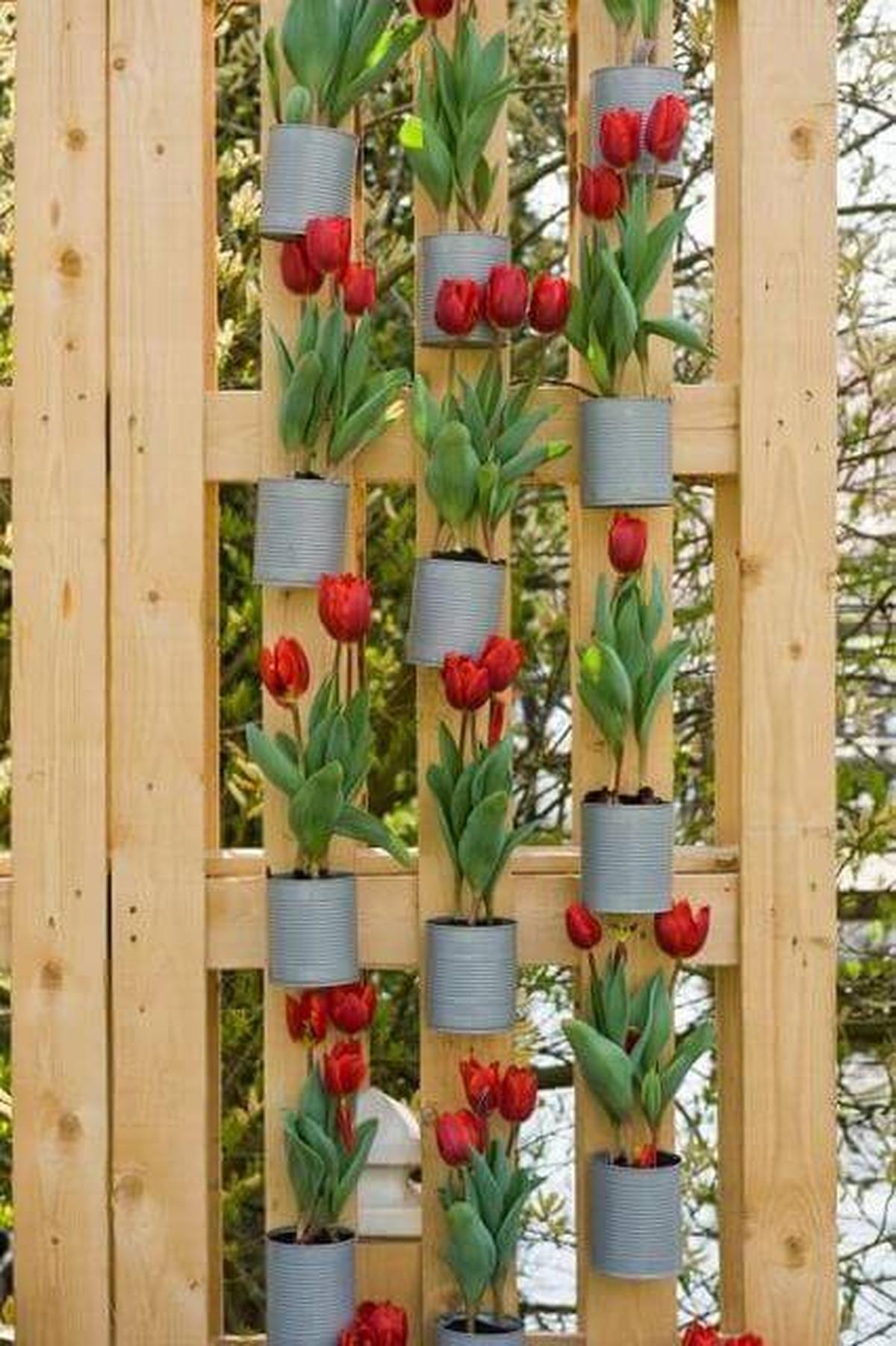 Upcycled Food Tins