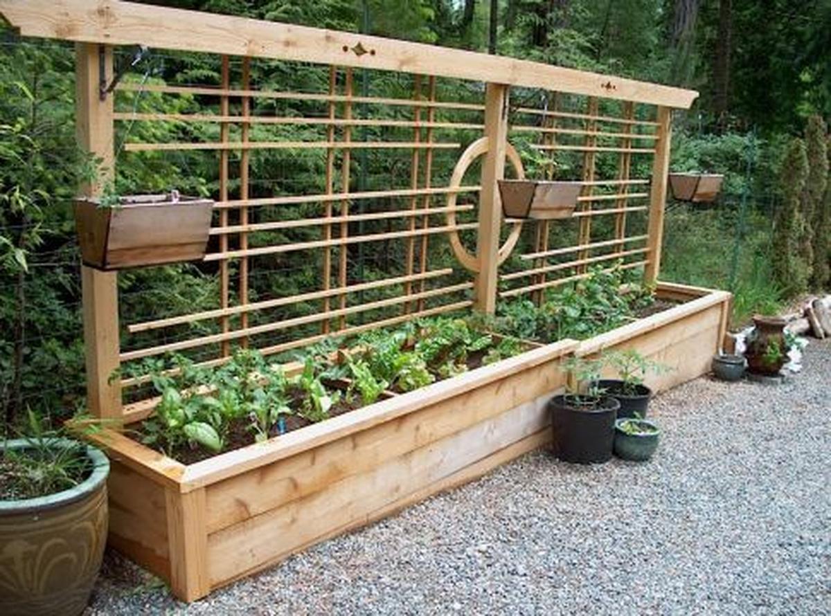 Wooden Trellis Garden