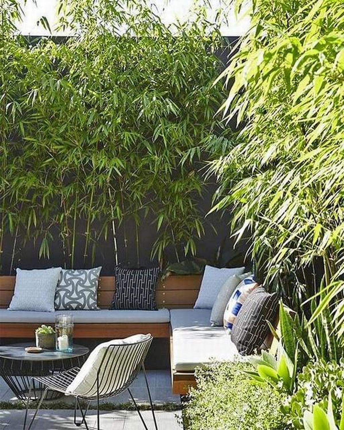 Bamboo Fence