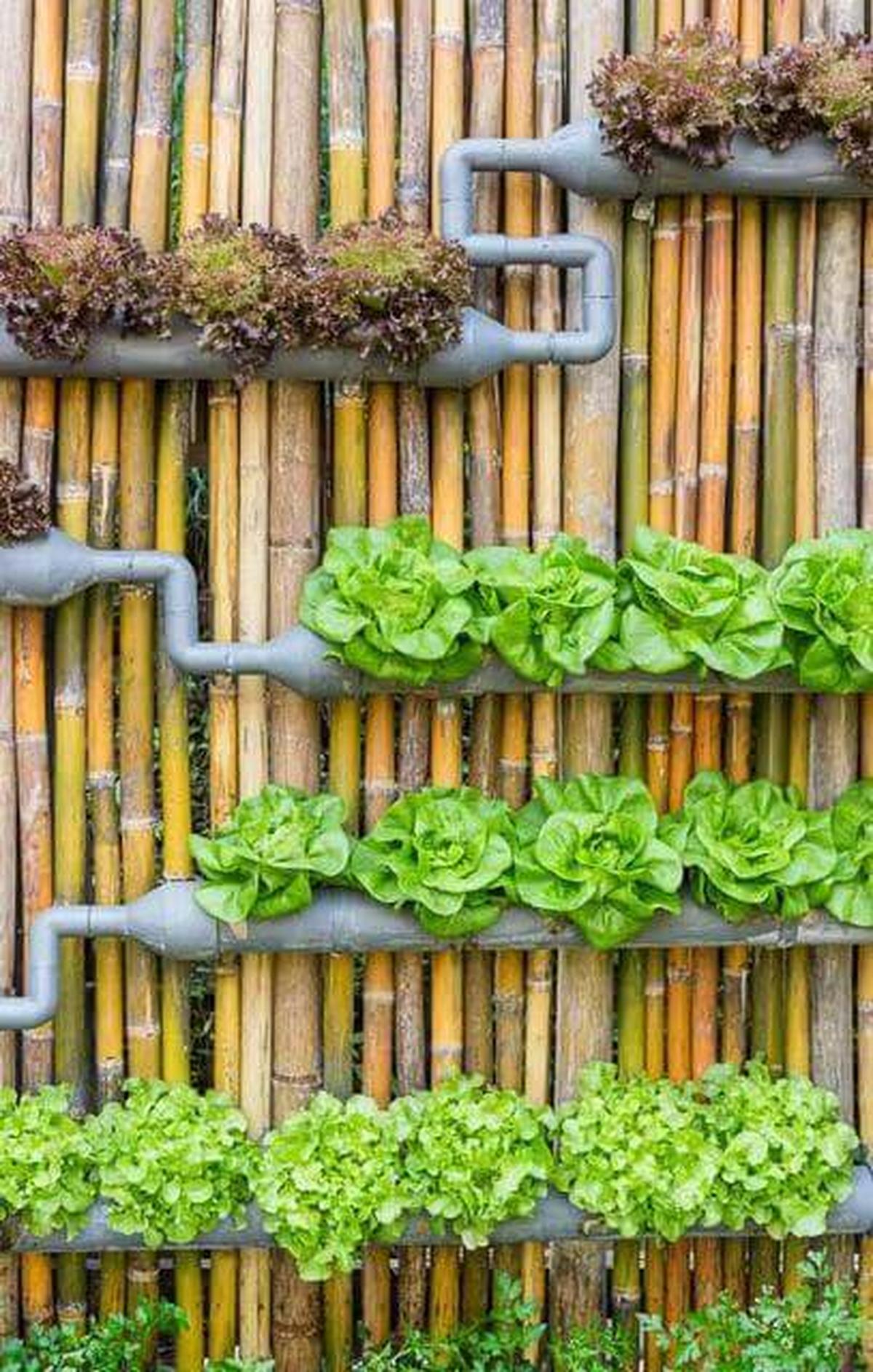 DIY Vertical Garden with Conduit Pipe