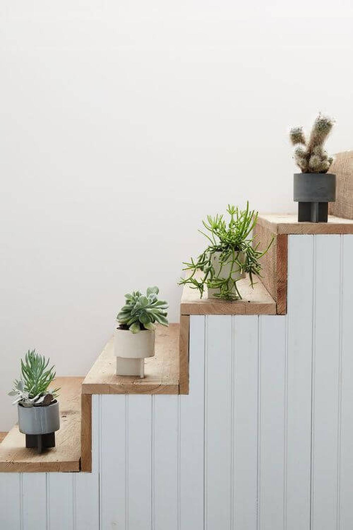 Succulent Planters