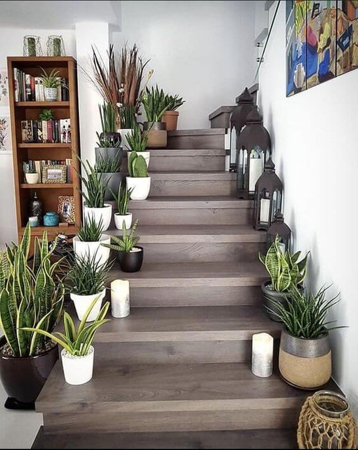 Plant Pots on Both Sides of the Stairs