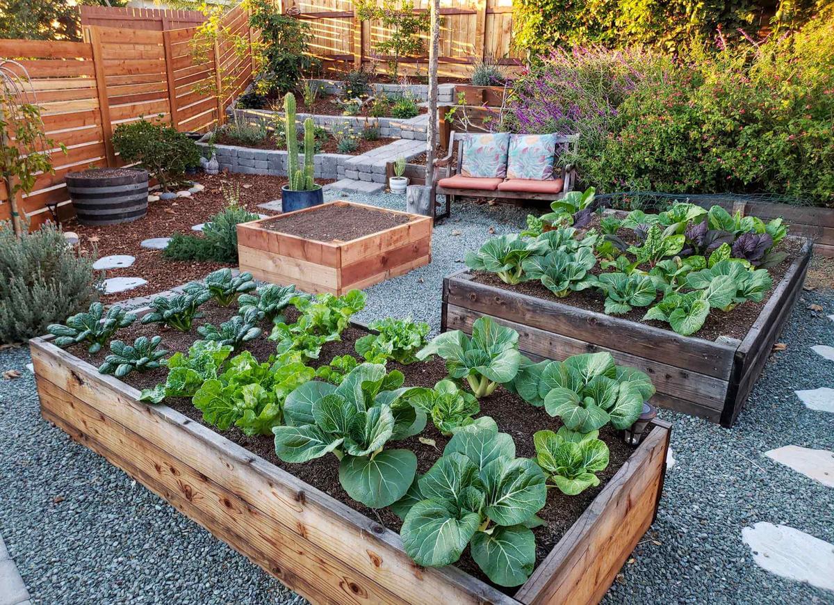 Construct Raised Beds