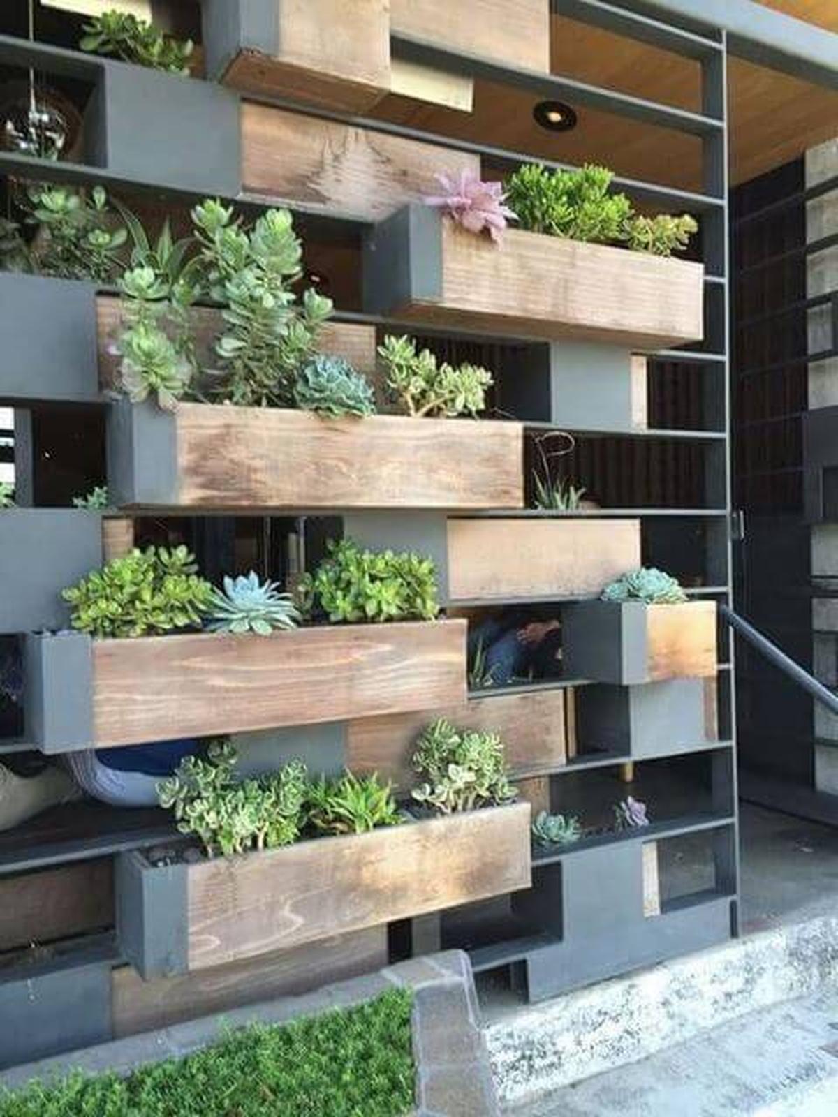 Wooden Succulent Patio Wall