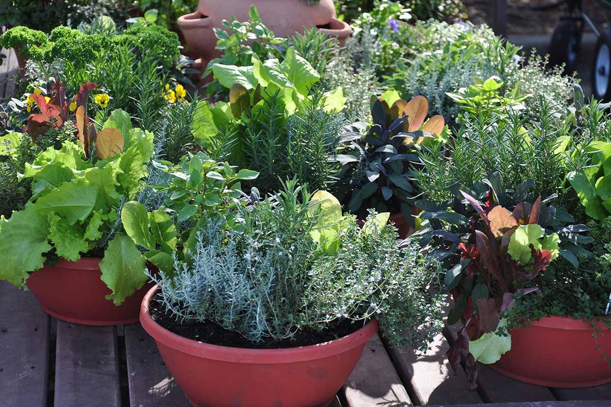 Arrange Shallow Containers