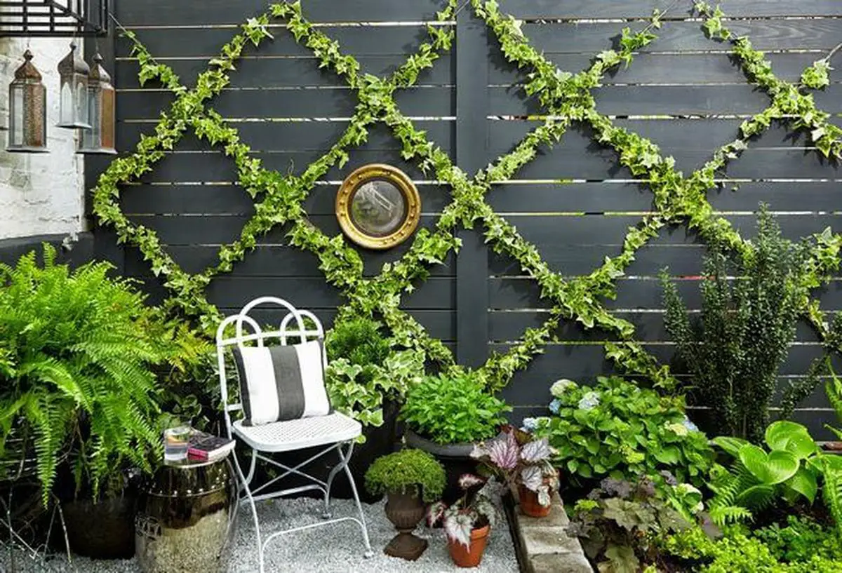 Trailing Plants For Black Wooden Patio Wall