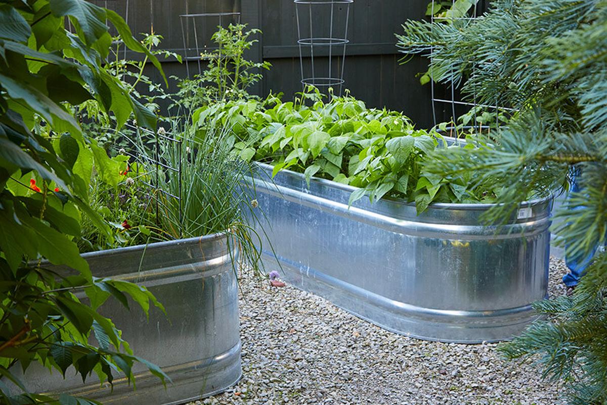 Grow In Stock Tanks