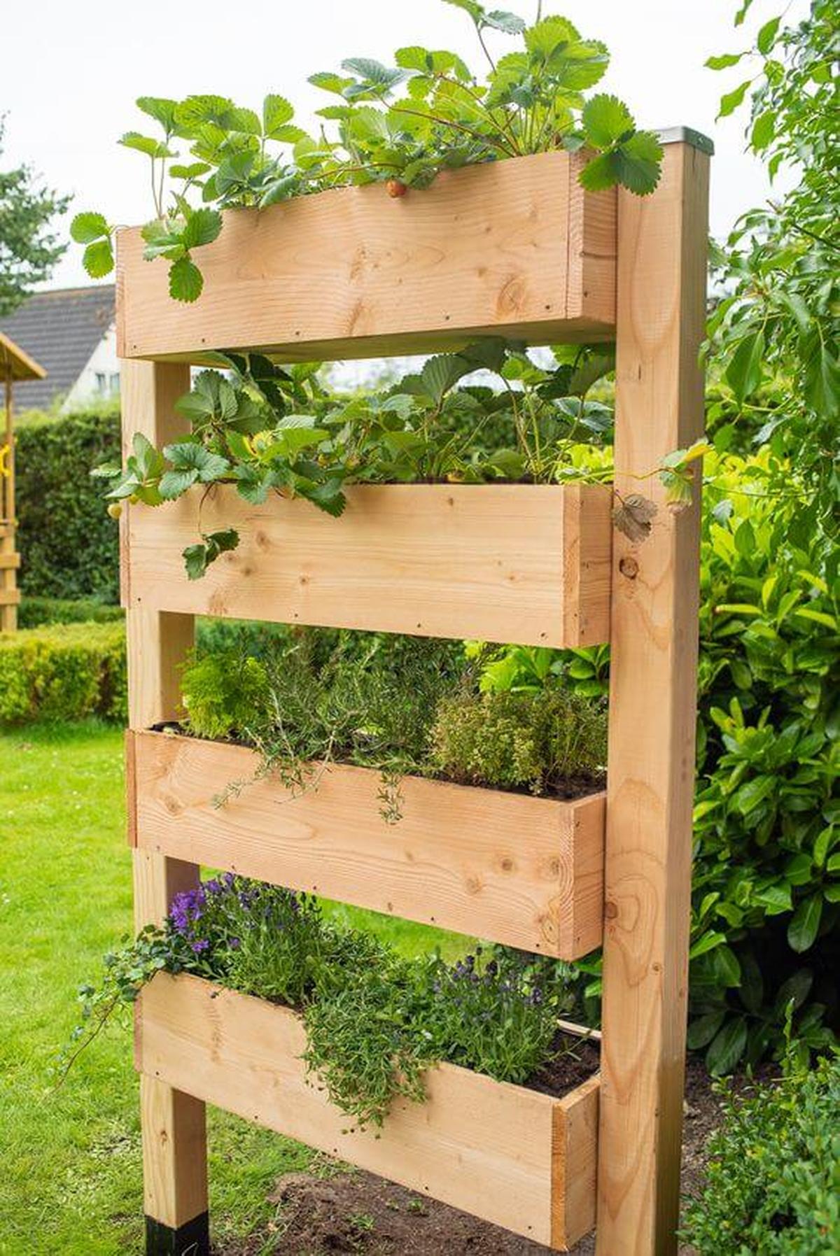 Wooden Vertical Garden
