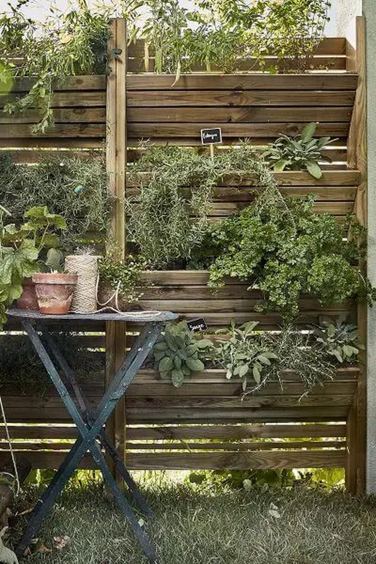 Lush Vertical Herb Garden