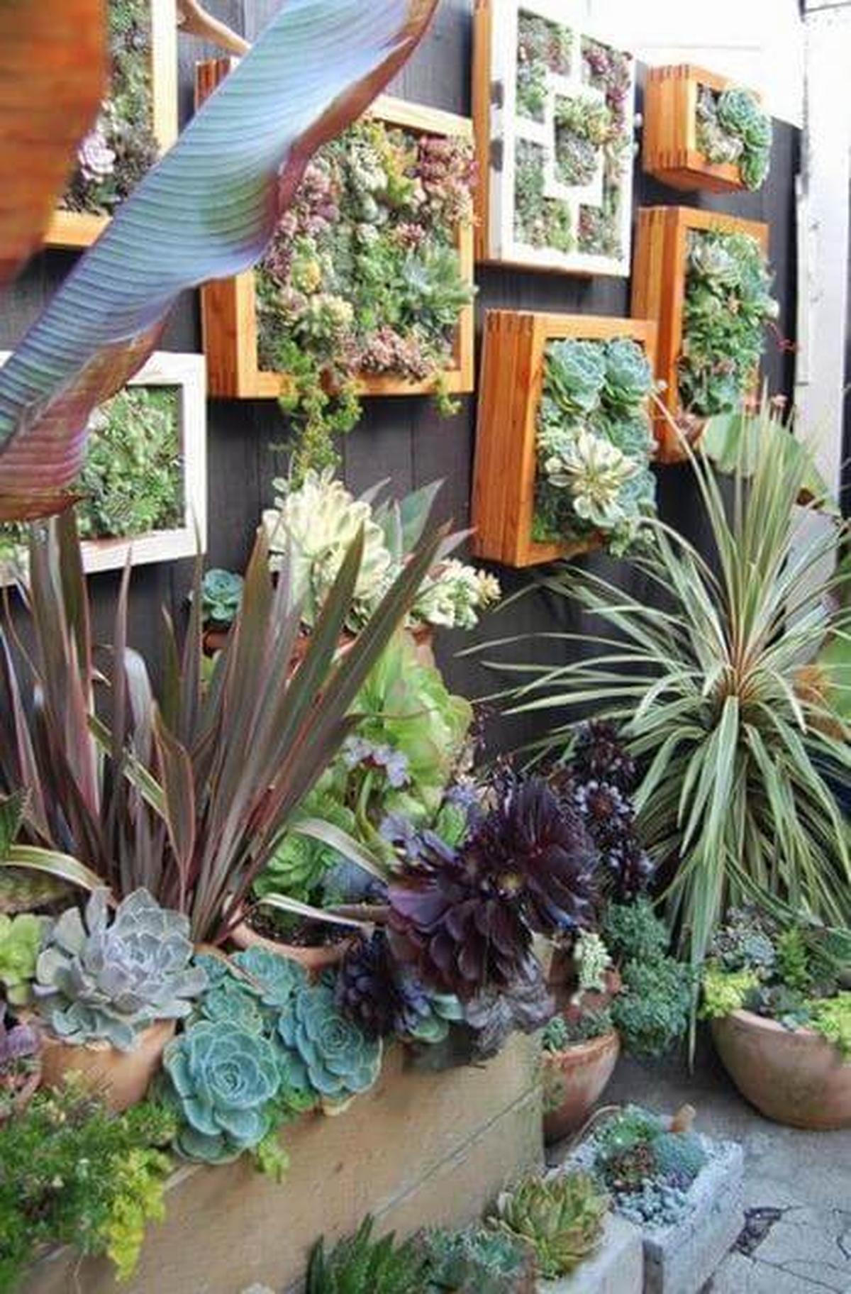 Frame Succulent Vertical Garden