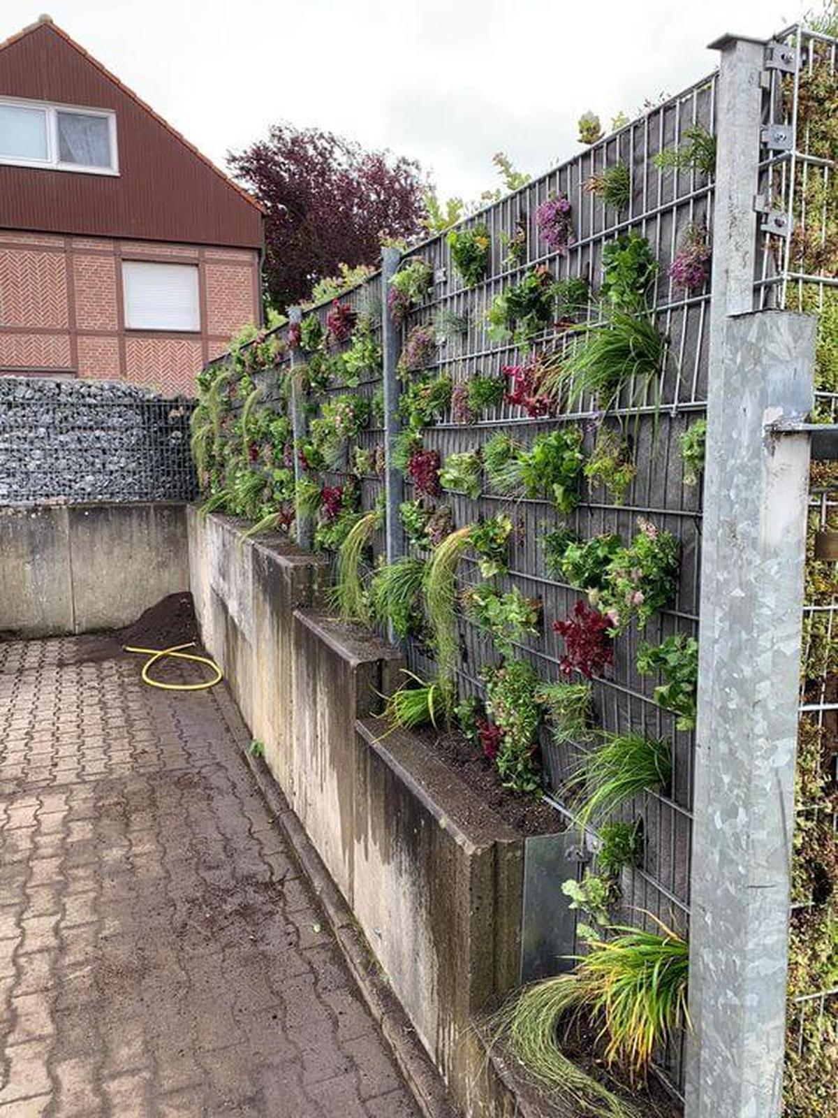 Vertical Green Oasis