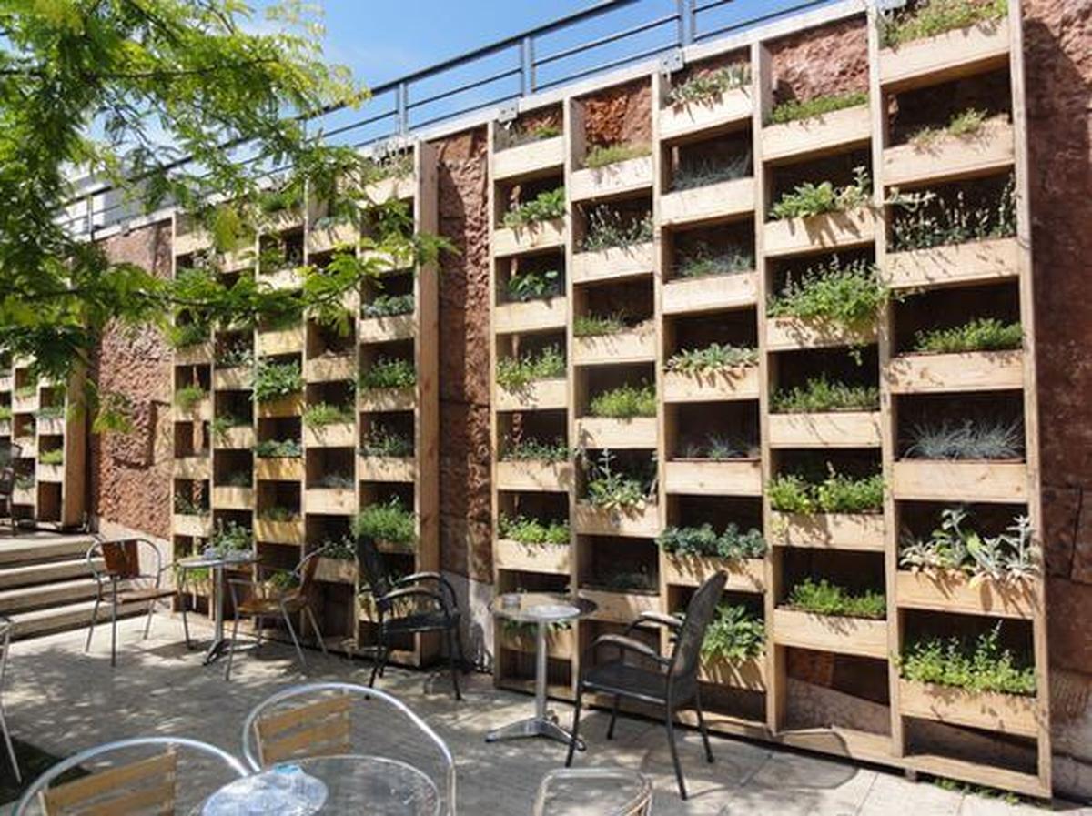 Geometric Wooden Greenery