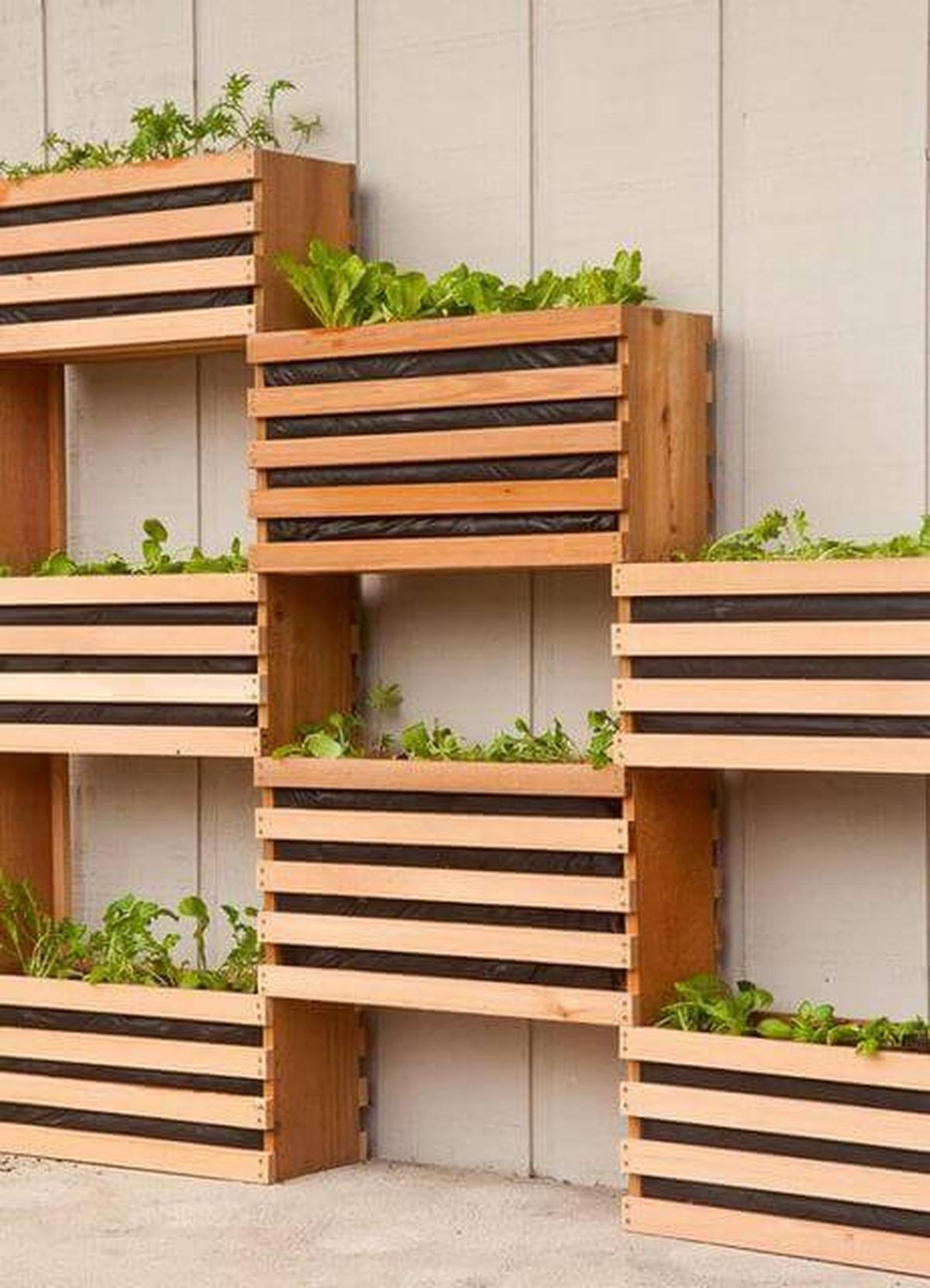 Modern Vertical Garden From Cedar