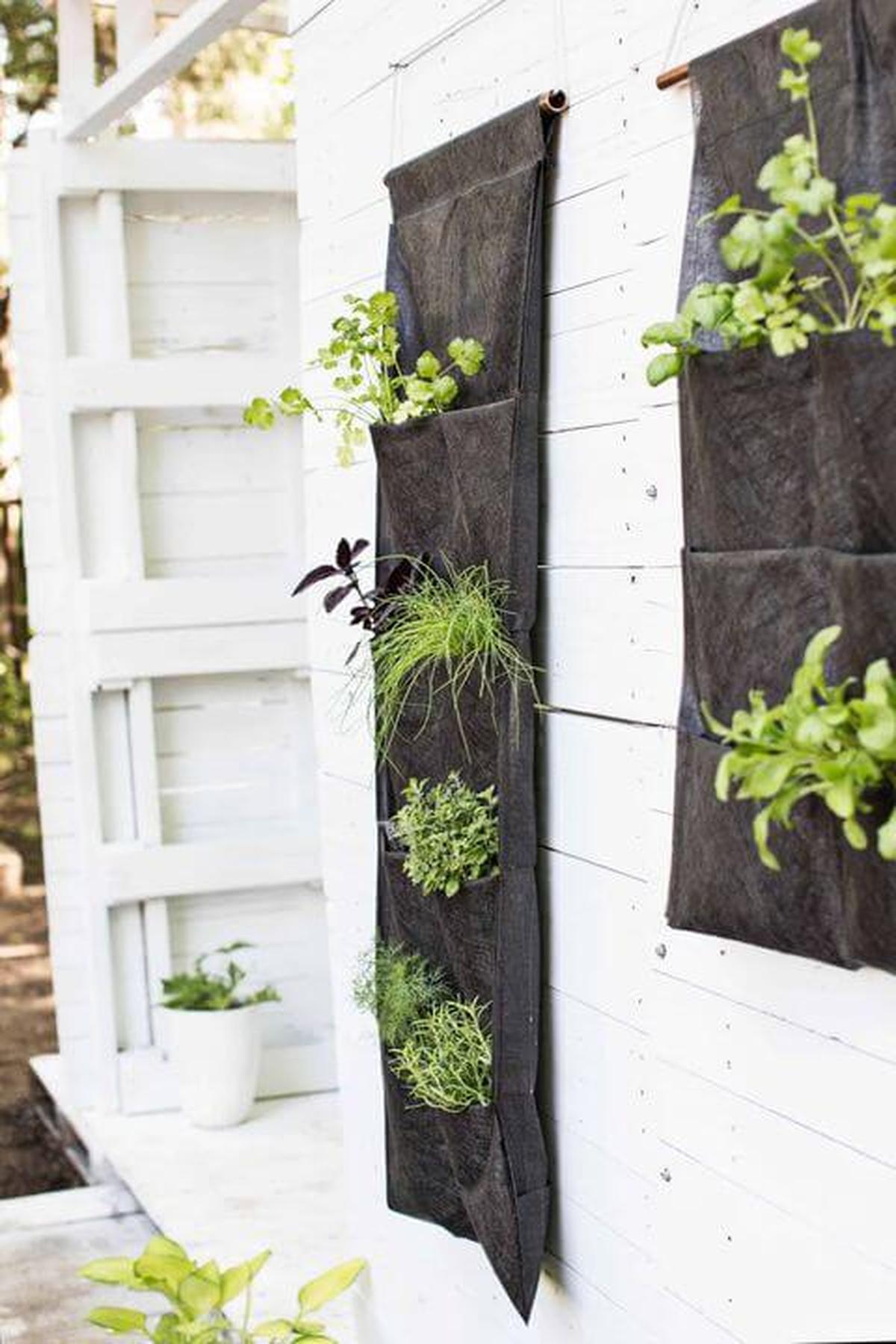 Mount A Wall Garden