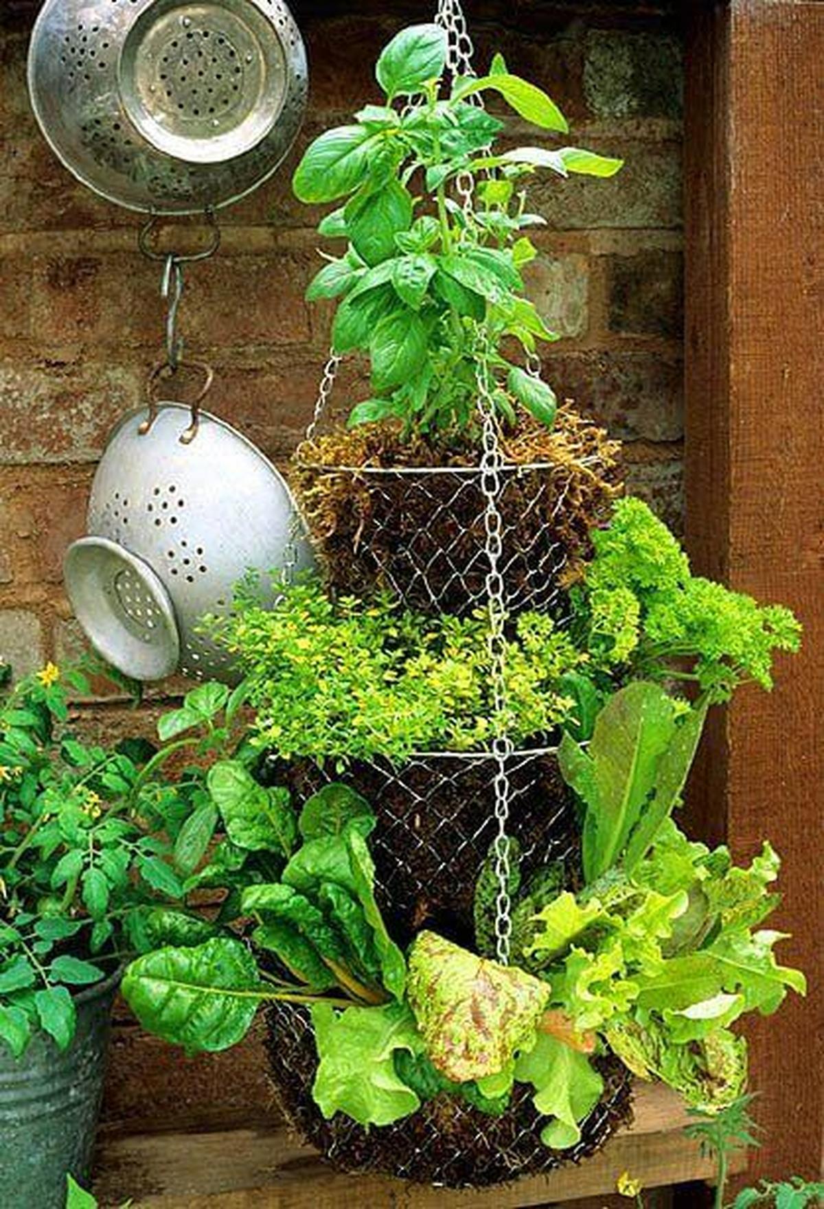Hang A Pot