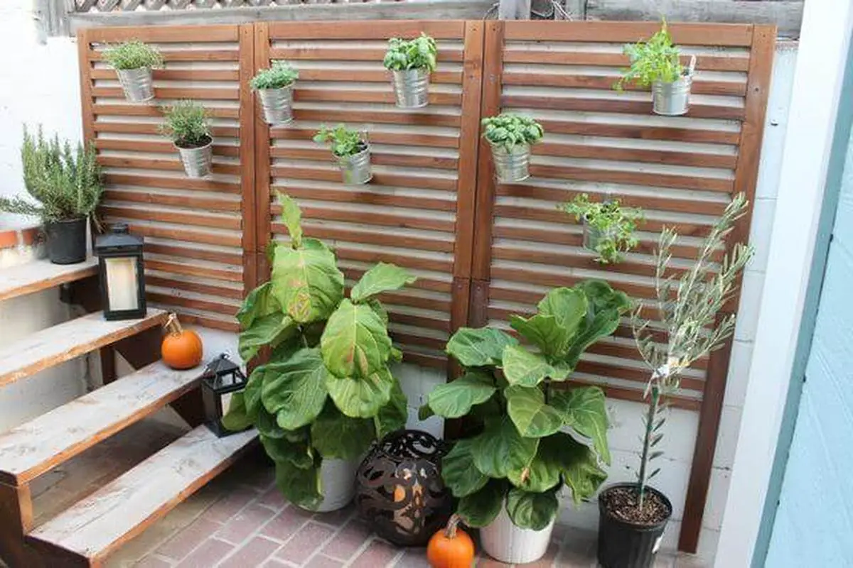 Tin Can Herbs Hang On Wooden Patio Wall