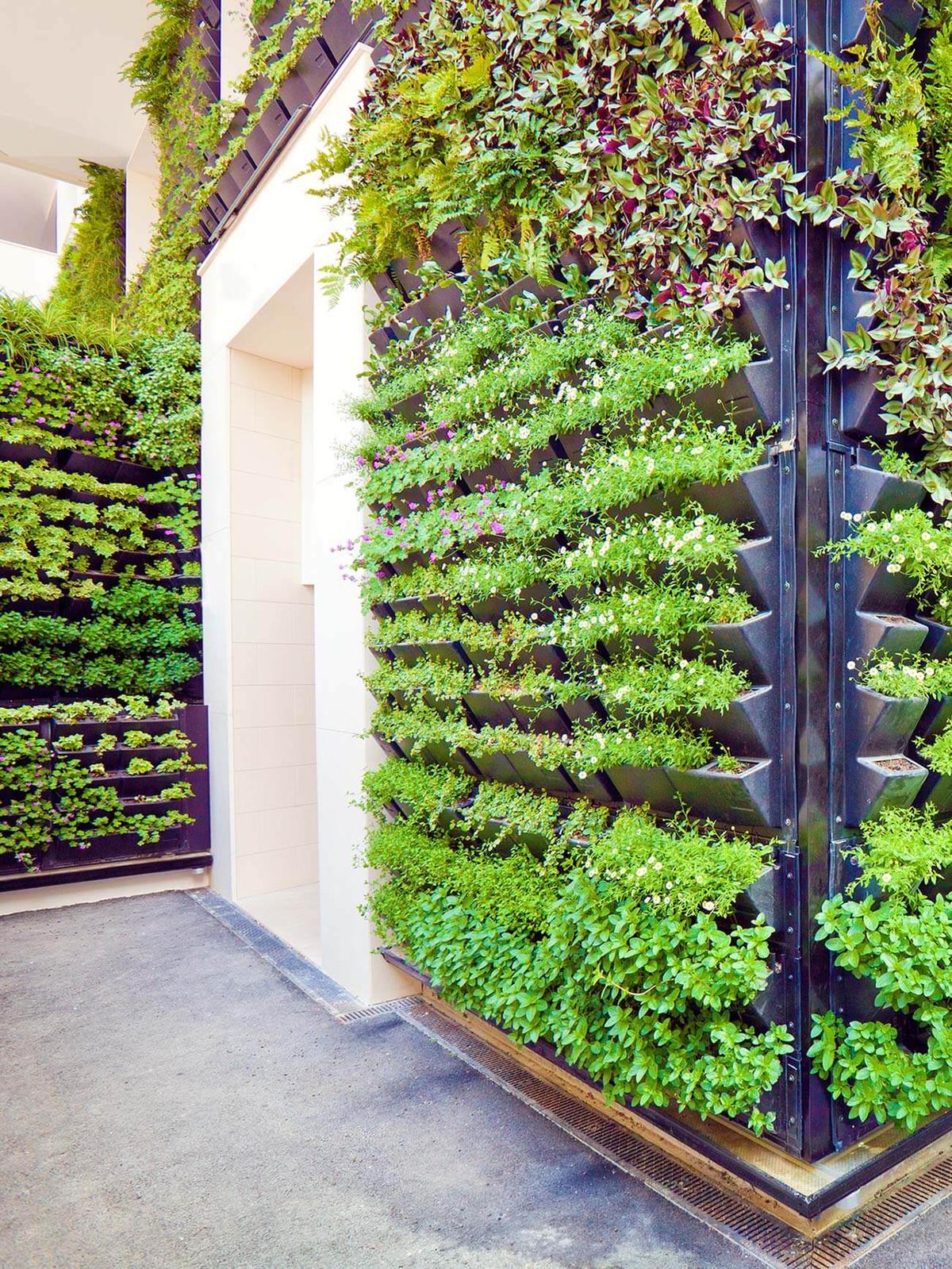 Create A Vertical Garden