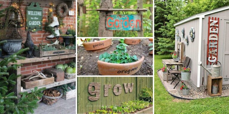 Adorable Garden Sign Ideas