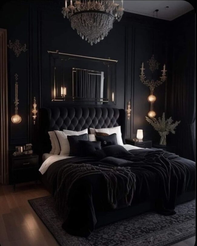 Luxurious Black and Soft Velvet