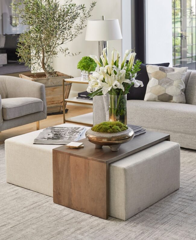 Neutral Ottoman for Any Space