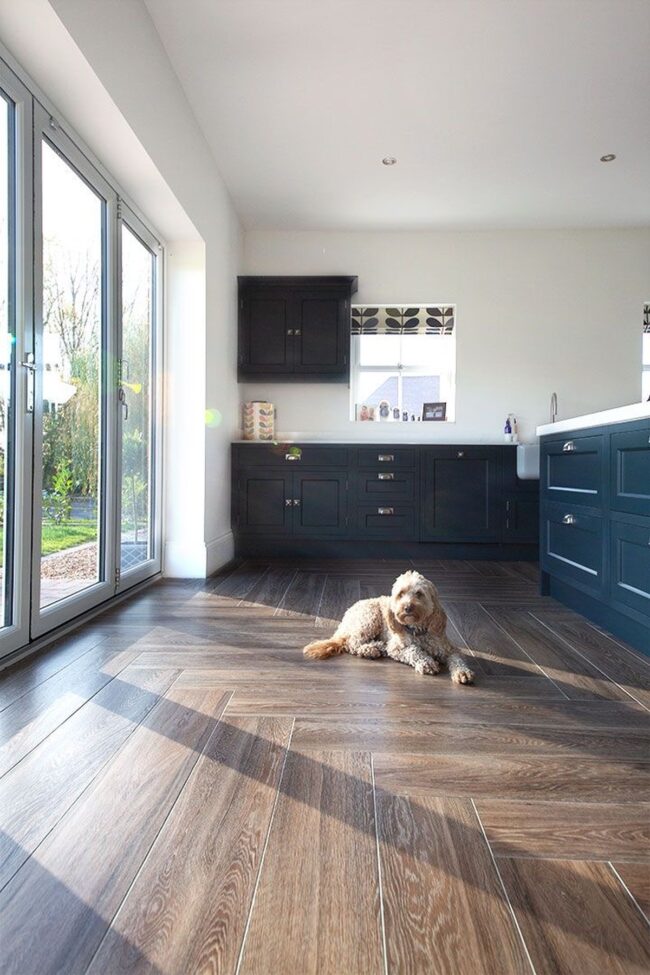 Cozy Comfort for Your Pets