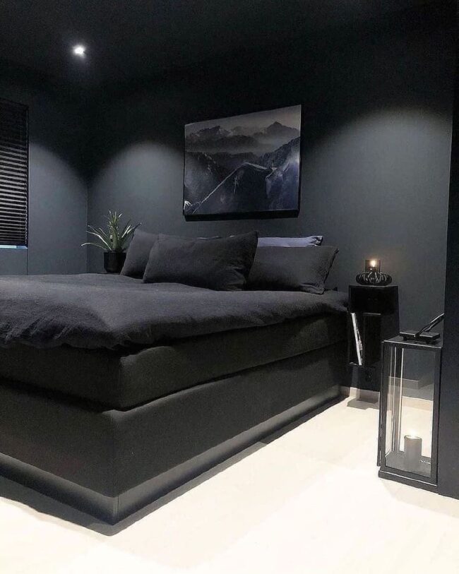 Mystery of the Black-and-White Hideaway