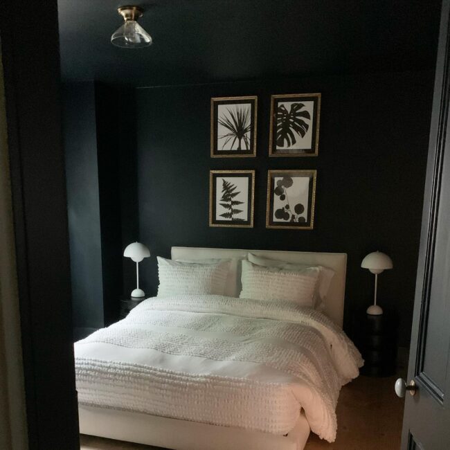 Chic Shadows in Black and White